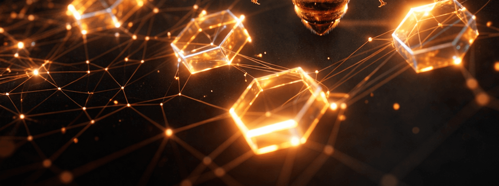 Governance Background